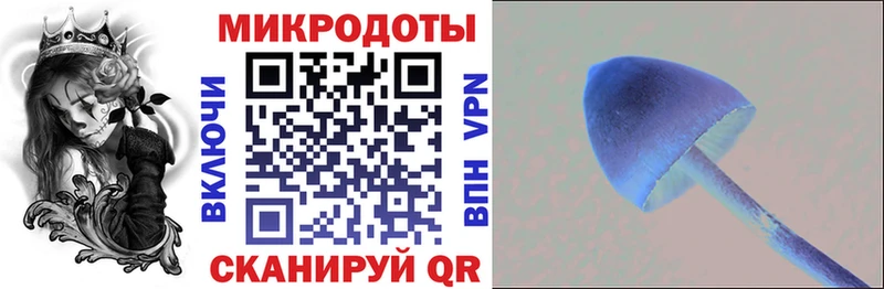 маркетплейс клад  Шали  Псилоцибиновые грибы мухоморы 